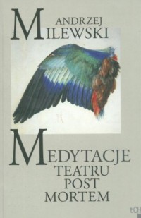 Medytacje teatru post mortem - okładka książki