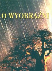 O wyobraźni - okładka książki