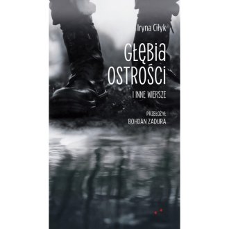 Głębia ostrości i inne wiersze - okładka książki