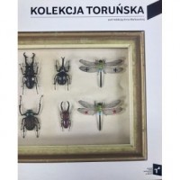 Kolekcja Toruńska Zbiory Centrum - okładka książki