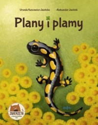 Plany i plamy - okładka książki