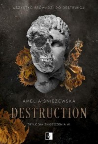 Trylogia Zniszczenia. Tom 1. Destruction - okładka książki