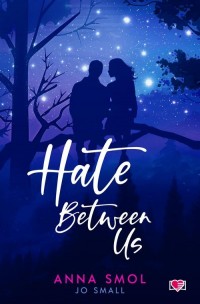 Hate Between Us - okładka książki