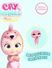 Niespodzianka na kółkach - okładka książki