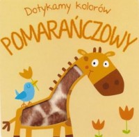 Dotykamy kolorów. Pomarańczowy - okładka książki