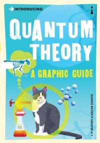 Introducing Quantum Theory a graphic - okładka książki