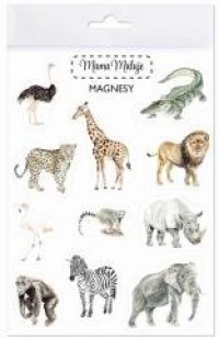 Magnesy Zwierzęta Afryki - zdjęcie produktu