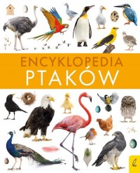 Encyklopedia ptaków - okładka książki