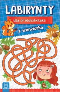 Labirynty dla przedszkolaka - okładka książki