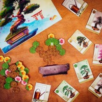 Bonsai Bujny wzrost i Eksperci - zdjęcie zabawki, gry