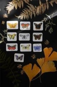 Magnesy Motyle - zdjęcie zabawki, gry