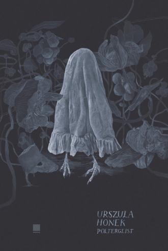 Poltergeist - okładka książki