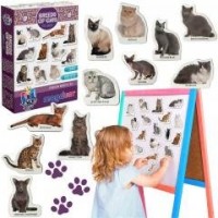Magnesy rasy kotów - zdjęcie produktu
