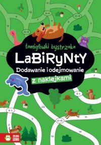 Łamigłówki bystrzaka Labirynty - okładka książki