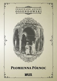 Płomienna Północ. Podróż po Afryce - okładka książki