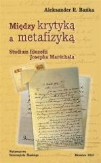 Między krytyką a metafizyką - okładka książki