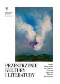 Przestrzenie kultury i literatury - okładka książki