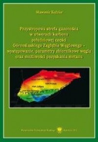 Przystropowa strefa gazonośna w - okładka książki