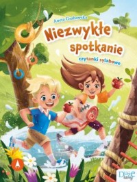 Niezwykłe spotkanie. Czytanki sylabowe - okładka książki