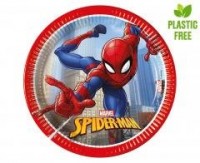 Talerzyki papierowe Spiderman 20cm - zdjęcie produktu