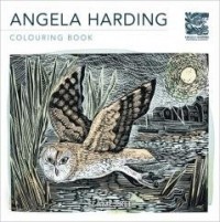 Kolorowanka Angela Harding - okładka książki
