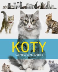 Koty. Ilustrowany przewodnik - okładka książki