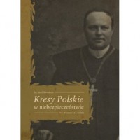 Kresy Polskie w niebezpieczeństwie. - okładka książki