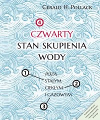 Czwarty stan skupienia wody. Poza - okładka książki