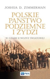 Polskie Państwo Podziemne i Żydzi. - okłakda ebooka