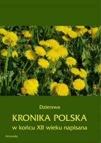 Kronika polska Dzierswy (Dzierzwy) - okłakda ebooka