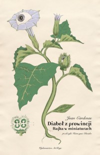 Diabeł z prowincji - okładka książki