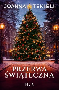 Przerwa świąteczna - okładka książki