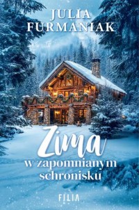 Zima w zapomnianym schronisku - okładka książki