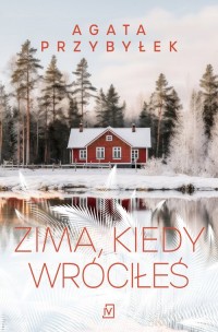 Zima, kiedy wróciłeś - okładka książki