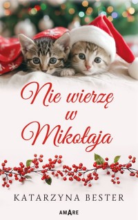 Nie wierzę w Mikołaja - okładka książki