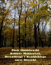 Kobiety Mickiewicza, Słowackiego - okłakda ebooka