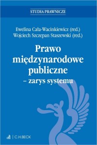 Prawo międzynarodowe publiczne - okładka książki