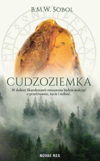 Cudzoziemka - okłakda ebooka