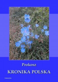 Kronika polska Prokosza - okłakda ebooka