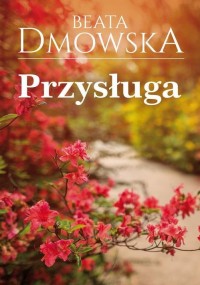 Przysługa - okłakda ebooka