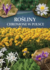 Rośliny chronione w Polsce - okładka książki