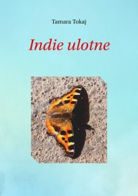 Indie ulotne - okładka książki