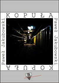 Kopuła - okłakda ebooka