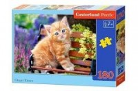 Puzzle 180 Imbirowy kotek CASTOR - zdjęcie zabawki, gry