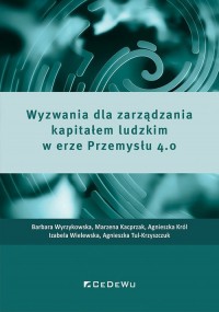 Wyzwania dla zarządzania kapitałem - okładka książki