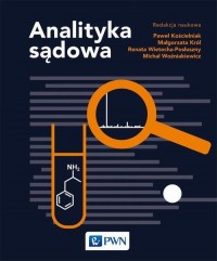 Analityka sądowa - okłakda ebooka