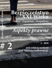 Bezpieczeństwo XXI Wieku Szanse - okłakda ebooka