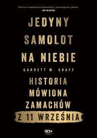 Jedyny samolot na niebie. Historia - okłakda ebooka