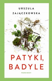 Patyki i badyle - okłakda ebooka