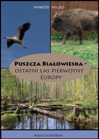 Puszcza Białowieska - Ostatni las - okłakda ebooka